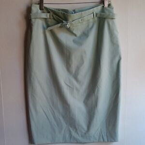Ann Taylor Light Green Pencil Skirt